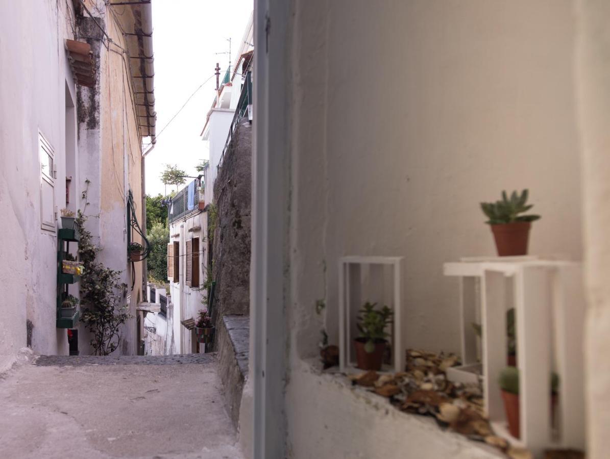 Amalfi Coast Sea View Villa Vietri Exterior foto